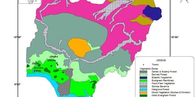 Χάρτης της νιγηρίας, δείχνει βλάστηση